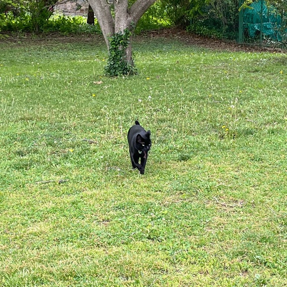 Meet your Posher, Carin - Picture 2 of 5